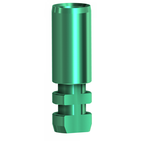 Analogue compatible with Zimmer® Internal Hex