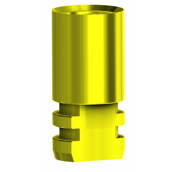 Analogue compatible with Zimmer® Internal Hex