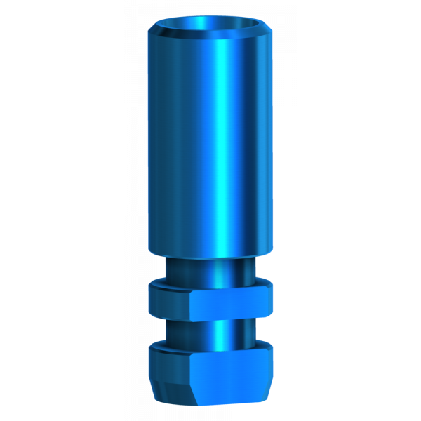 Analogue compatible with Megagen Anyridge®