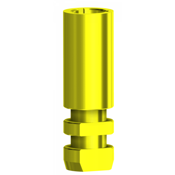 Analogue compatible with Camlog®