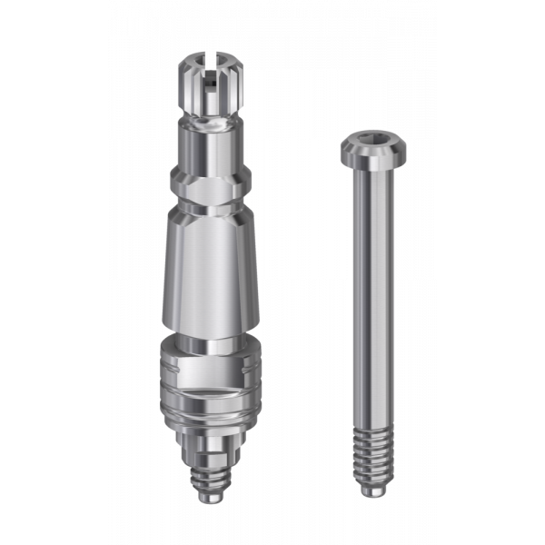 Transfer compatible with BTI®