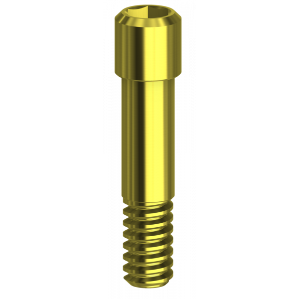 Screw Hex. 1,20 mm compatible with 3i® Certain®
