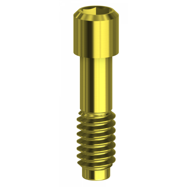 Screw Hex. 1,20 mm compatible with Megagen AnyRidge®