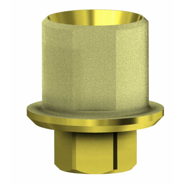 ANGLEBase® compatible with Biohorizons® Internal