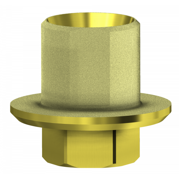 ANGLEBase® compatible with Biohorizons® Internal