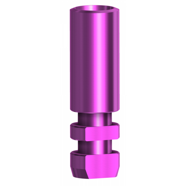 Analogue compatible with Straumann® BLX