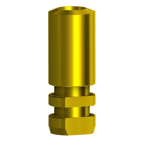 Analogue compatible with Straumann® BLX