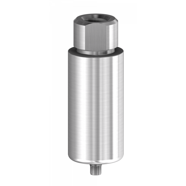 Pre-milled blank compatible with Astra Tech Implant System™ EV