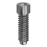 Screw Hex. 1,20 mm compatible with 3I Osseotite®