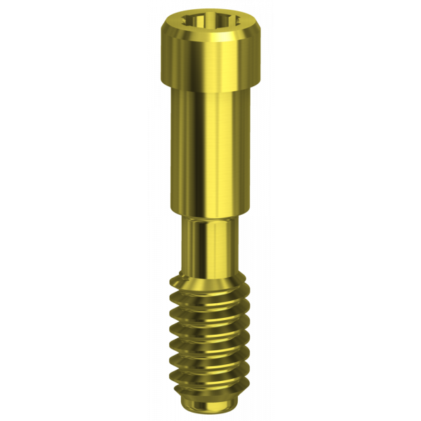 Screw UG compatible with Nobel Replace Select™