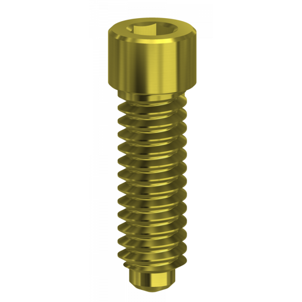 Screw Hex. 1,20 mm compatible with 3I Osseotite®