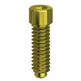 Screw Hex. 1,20 mm compatible with 3I Osseotite®